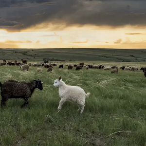 超性感生活片操逼操逼操逼
