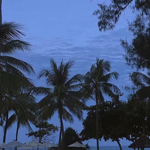 超性感生活片操逼操逼操逼
