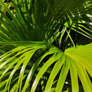 超性感生活片操逼操逼操逼
